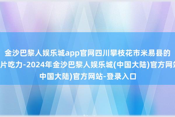 金沙巴黎人娱乐城app官网四川攀枝花市米易县的共富农场一片吃力-2024年金沙巴黎人娱乐城(中国大陆)官方网站-登录入口